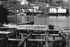 007: View across Red Island harbour. (1966) [courtesy of Teresa (Healey) McCarthy]